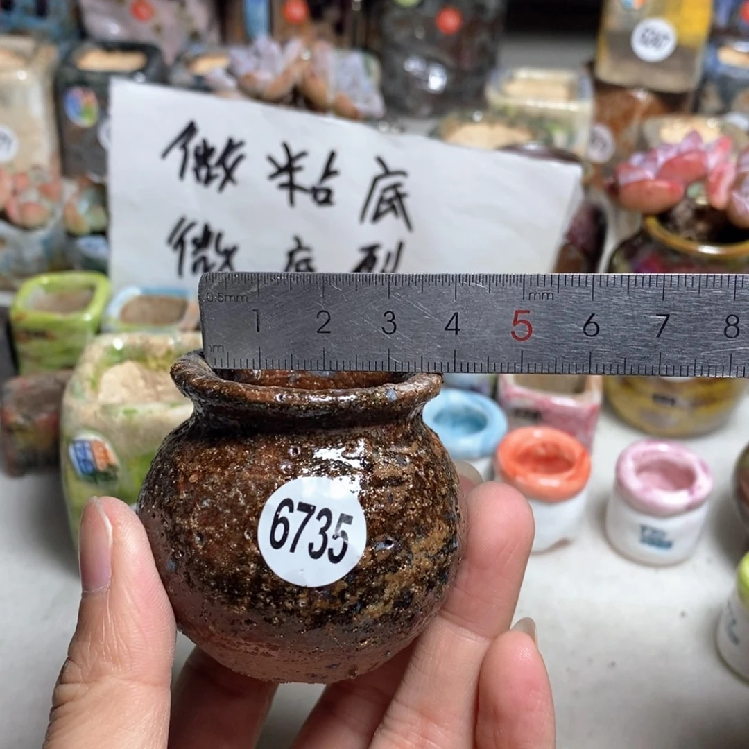 拍5送一个小礼物