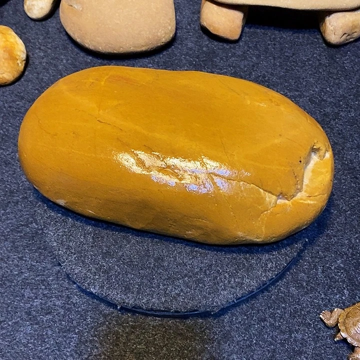 【闪购商品】菲*乌龟爬台石