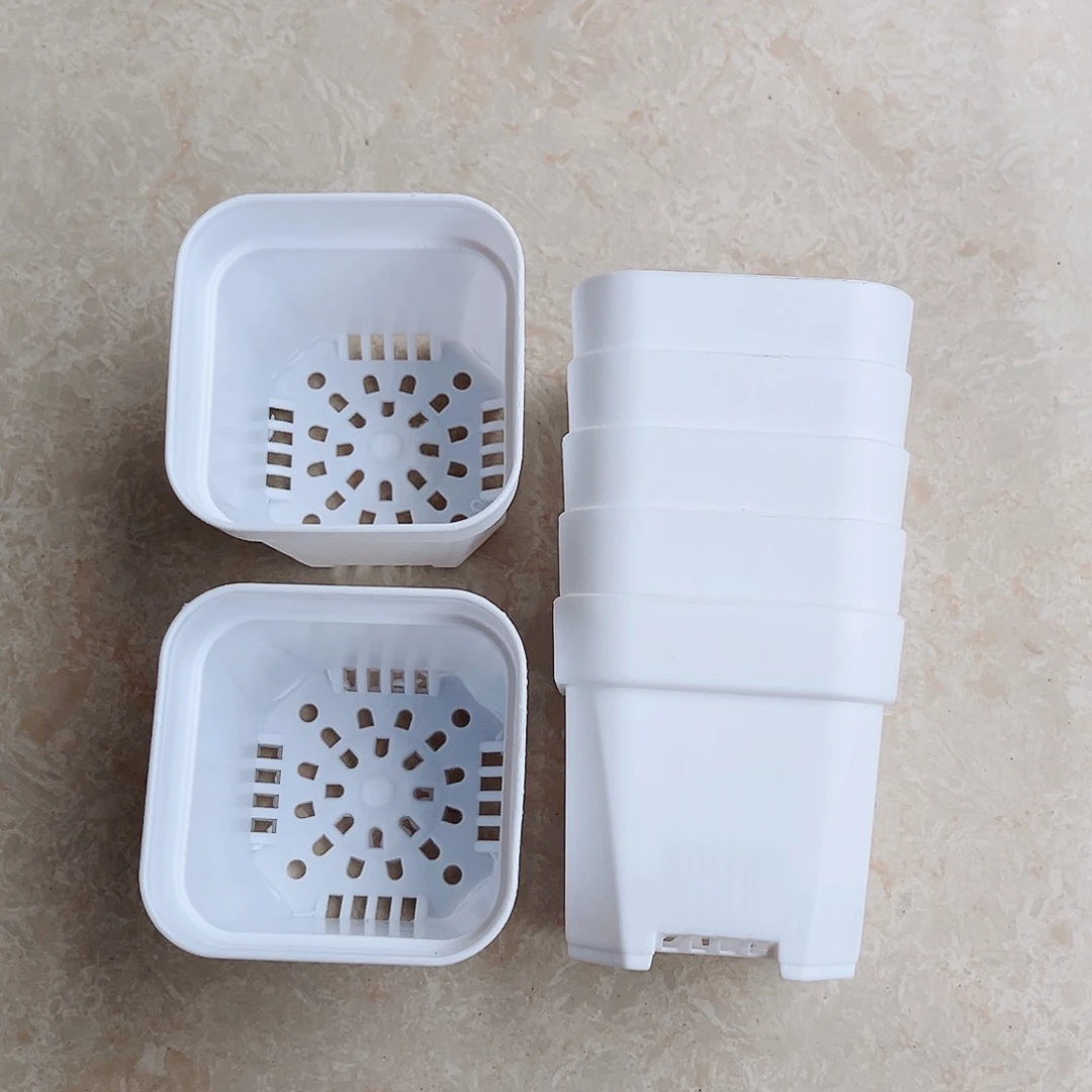 塑料福利款6.4白方盆30个无托