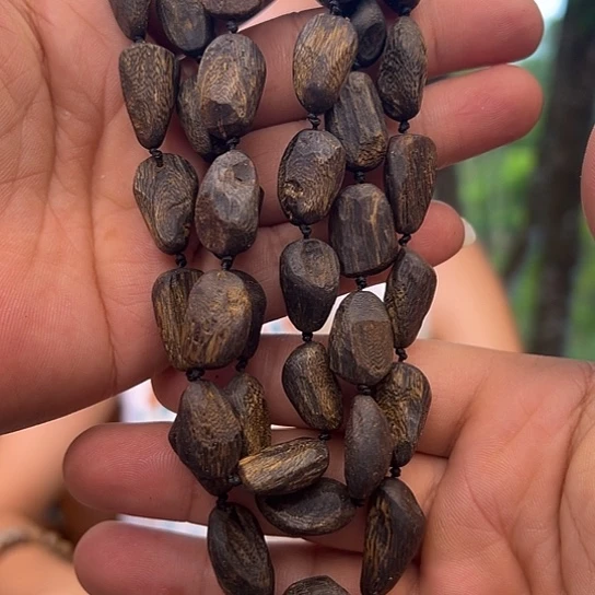 沉香手串海南紫棋沉水树丁1.0-56多样性发货1条