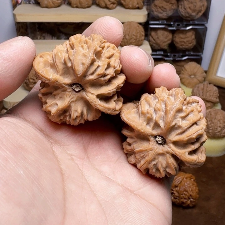 苹果园尺寸44全品麻核桃