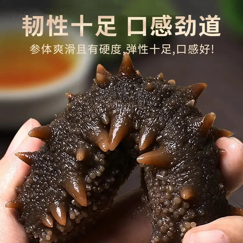 现场挑选 鲜食海参Q弹口感 （需要单只单冻联系客服备注）顺丰发货
