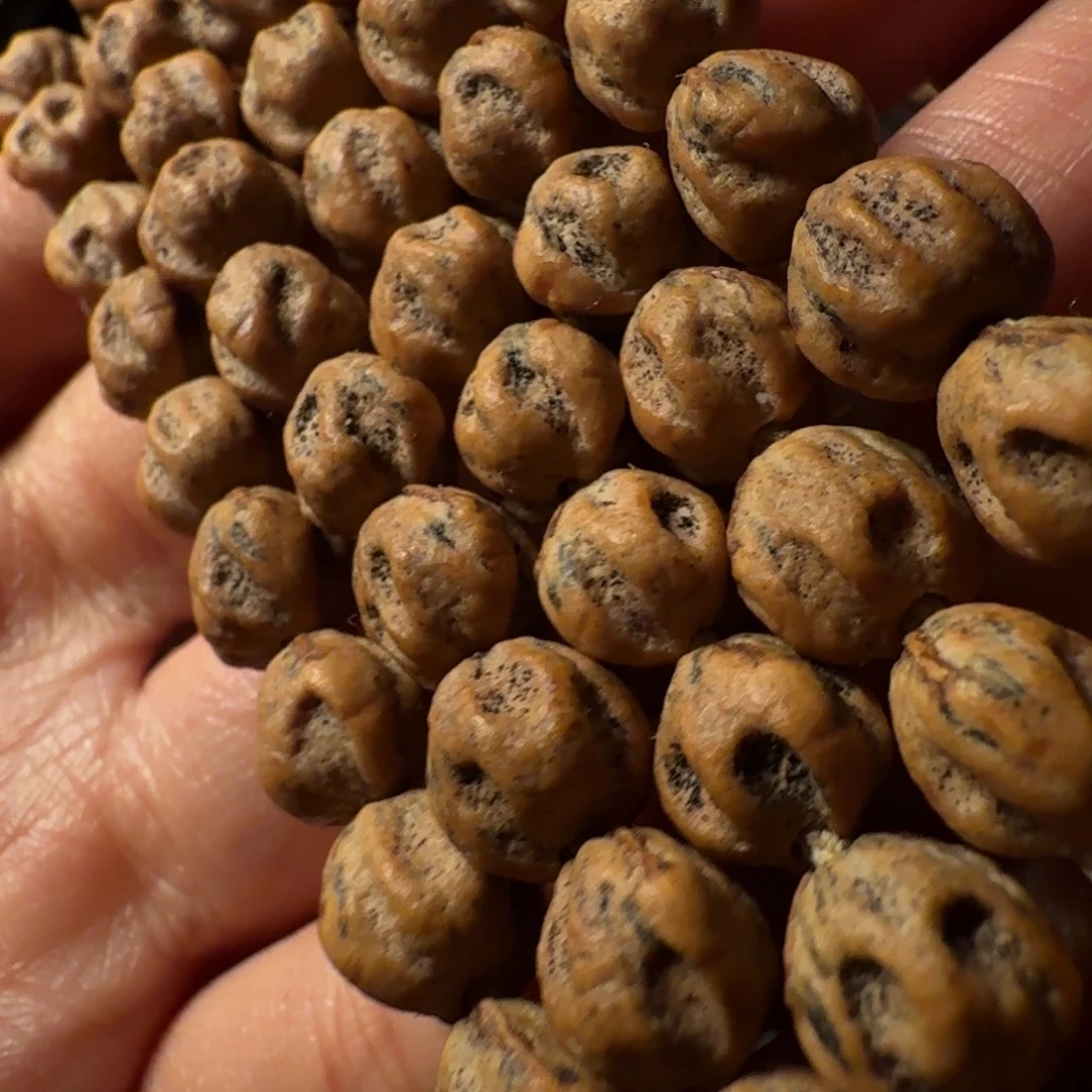 柏香籽/百香籽手串