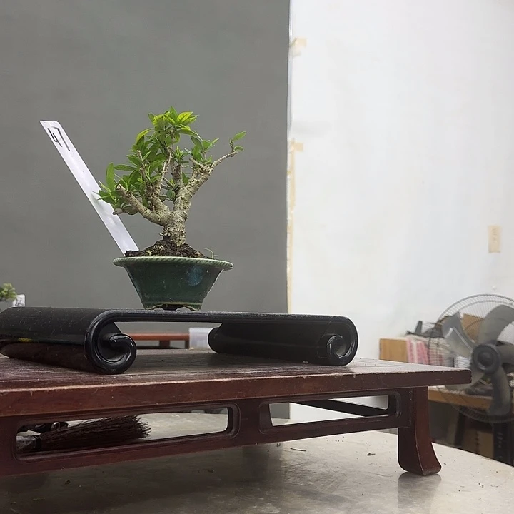 岭***景47顺丰到付。