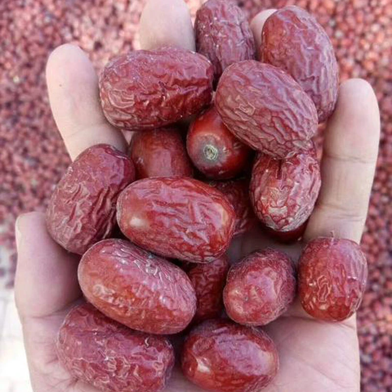 新疆和田灰枣未清洗特级2.8cm左右25年新货八九成干产地包邮