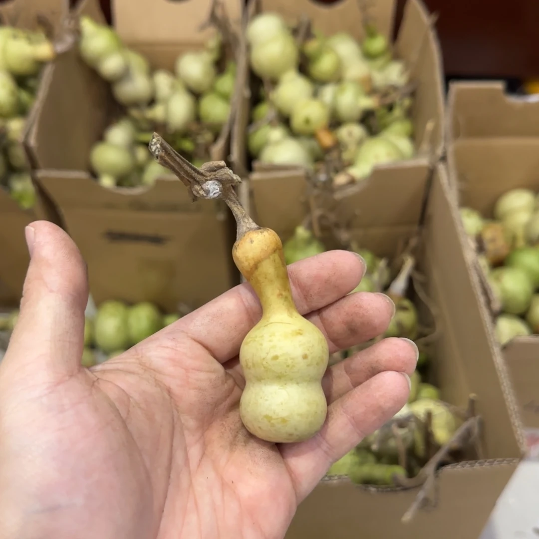 R***-青皮不包成 不退不换