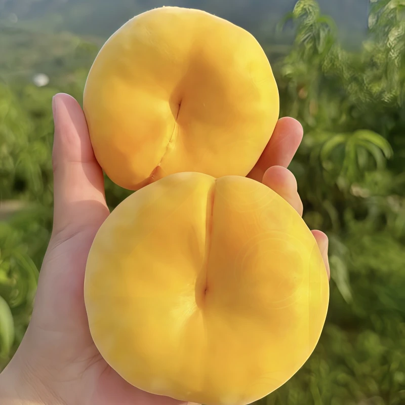山东蒙阴黄蟠桃新鲜现摘蟠桃香甜多汁应季水果黄桃蜜桃