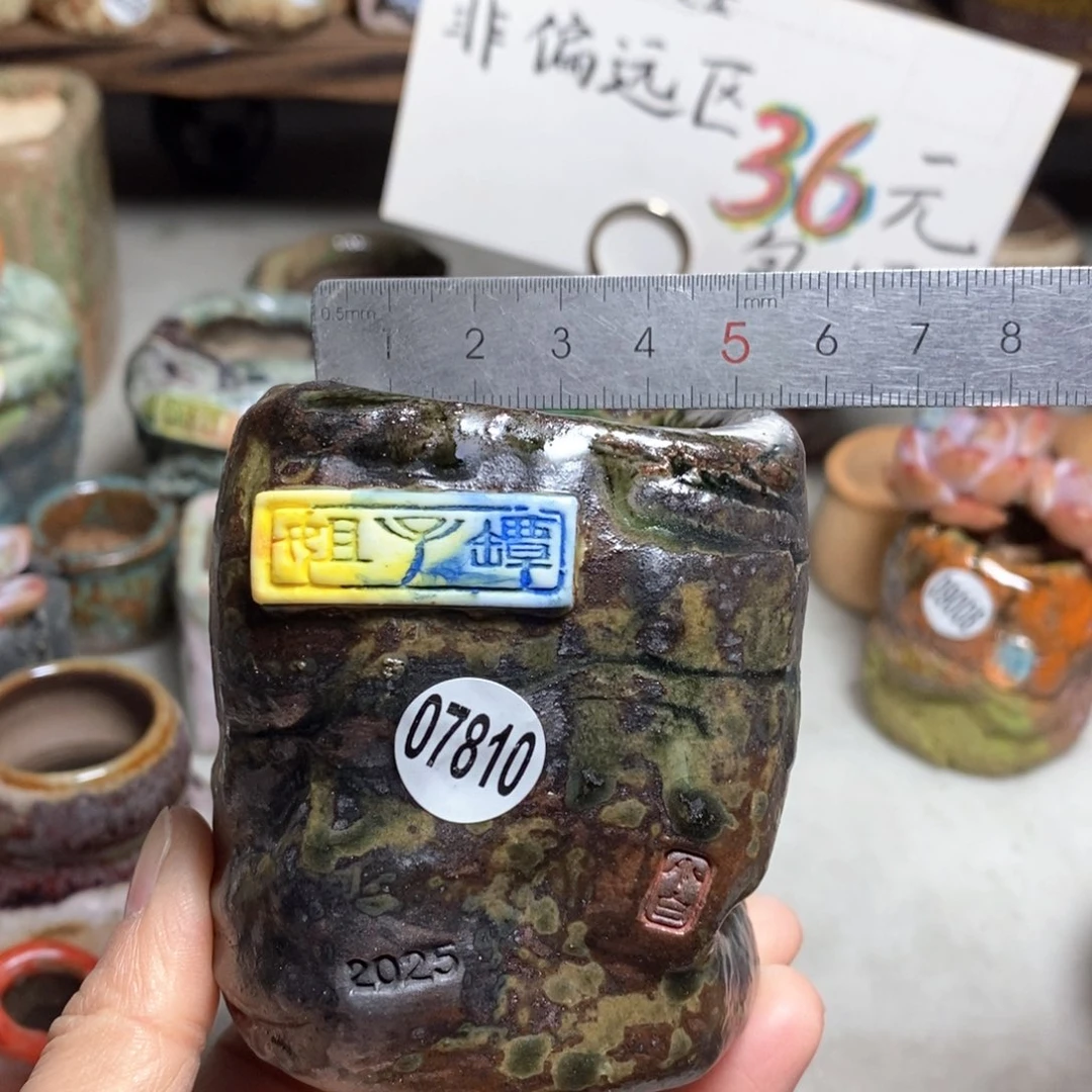 花盆拍3送一个小礼物