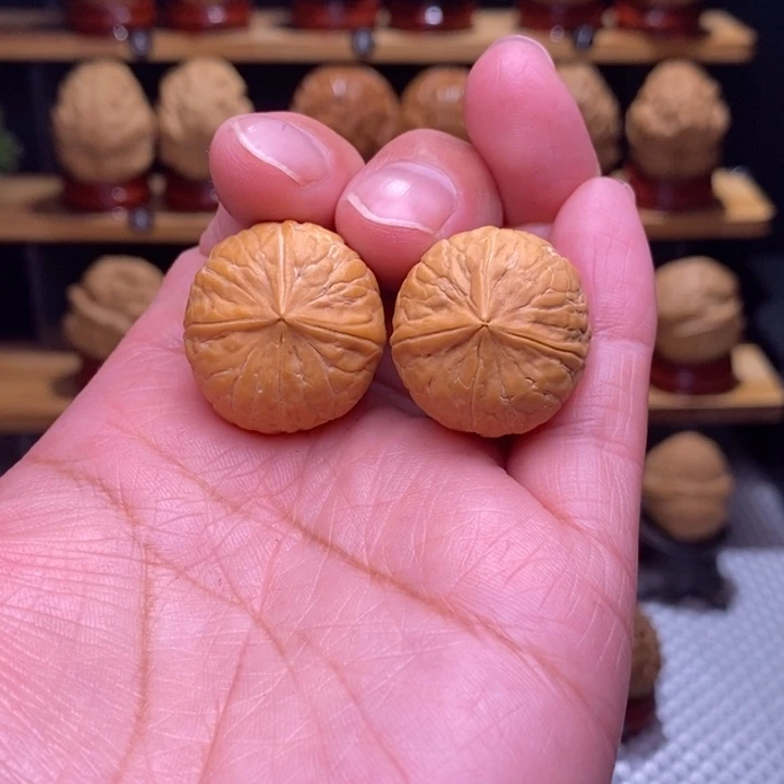 木质类云铁小尺四棱69号