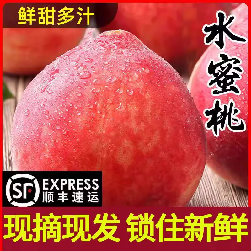 蒙阴春雪水蜜桃【顺丰】血丝沂蒙山蜜桃新鲜脆甜多汁 4.5斤当季新鲜水果桃子山东省