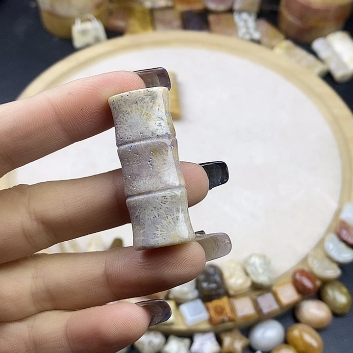 硅化玉未镶嵌颈饰