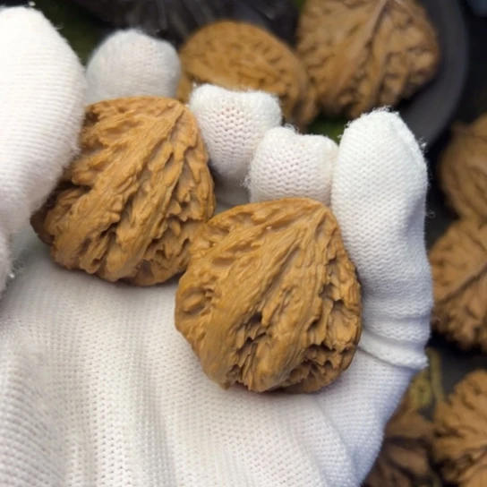 文玩核桃把件秦岭核桃12