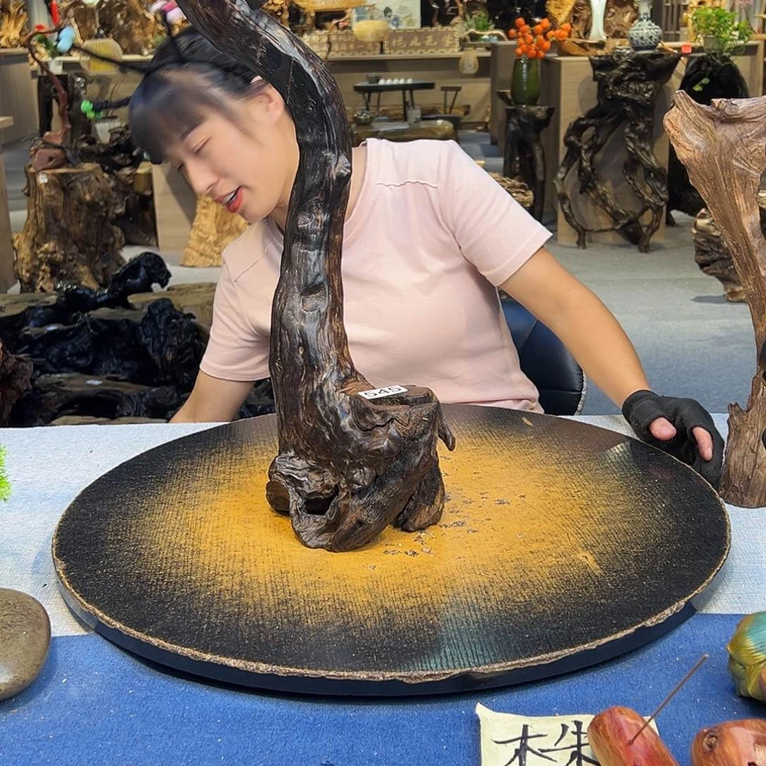 流***边木545 bccghjjhgdxcvv