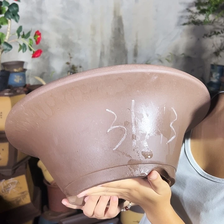 31斗盆花盆花盆花盆花盆花盆