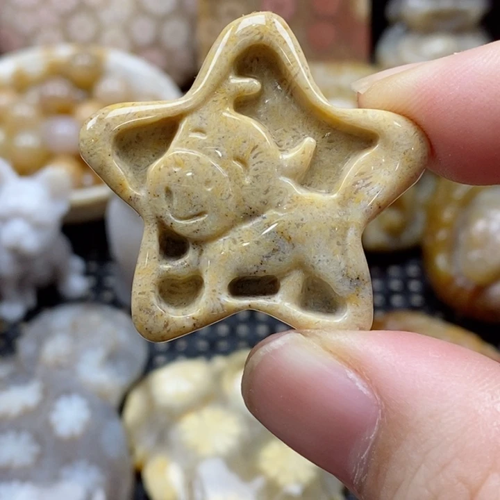 硅化珊瑚（珊瑚玉）颈饰未镶嵌小吊坠