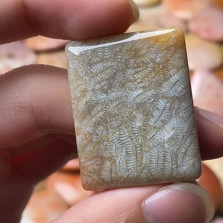 粘***粘硅化珊瑚未镶嵌颈饰