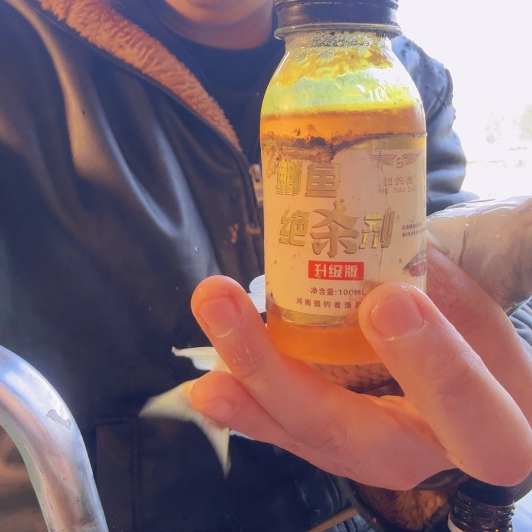 鲫鱼绝杀剂主功鲫鱼