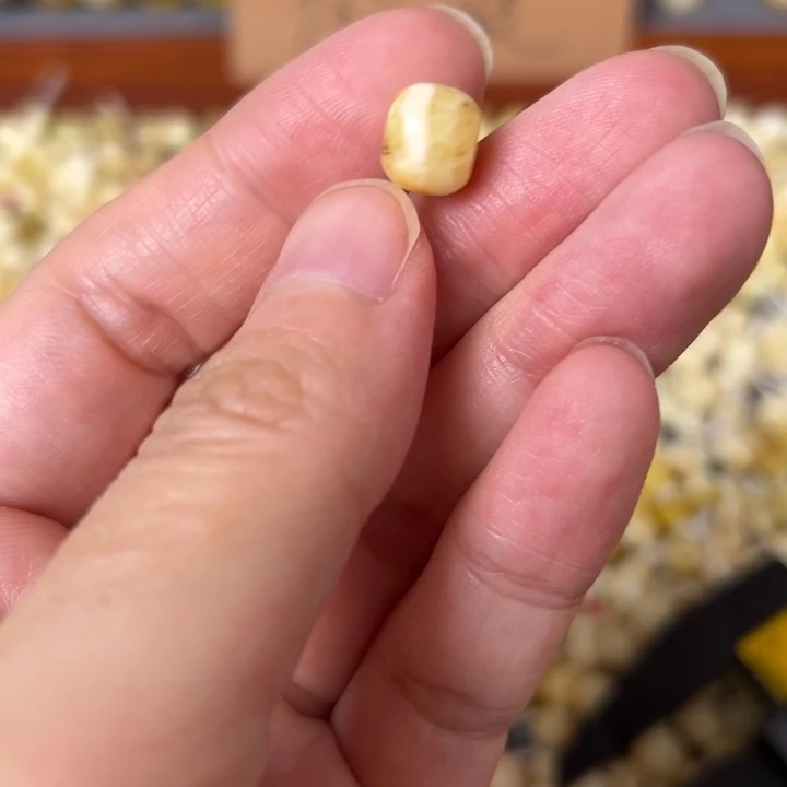 蜜蜡未镶嵌裸石9.1mm一个