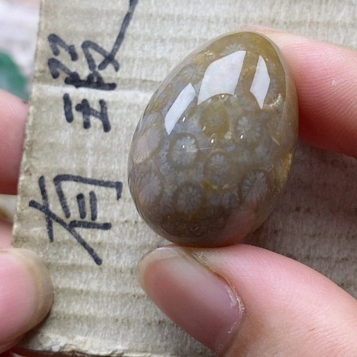 硅化珊瑚（珊瑚玉）未镶嵌颈饰桃****)