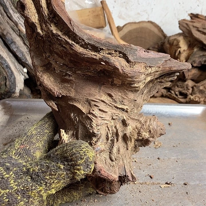 黄花梨/降香黄檀沧*