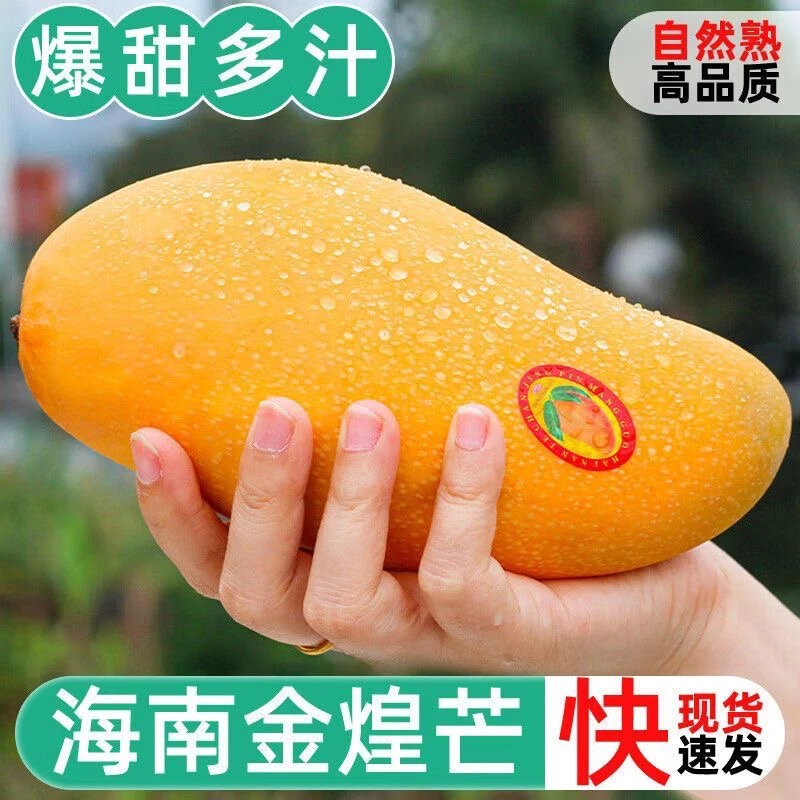 海南鲜果直发海南金煌芒果香甜多汁自然成熟新鲜热带水果5斤装
