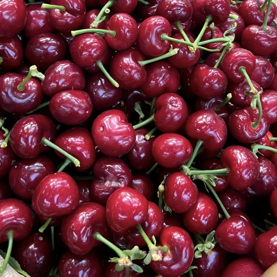 沙蜜托樱桃 1/斤 JJ甜心