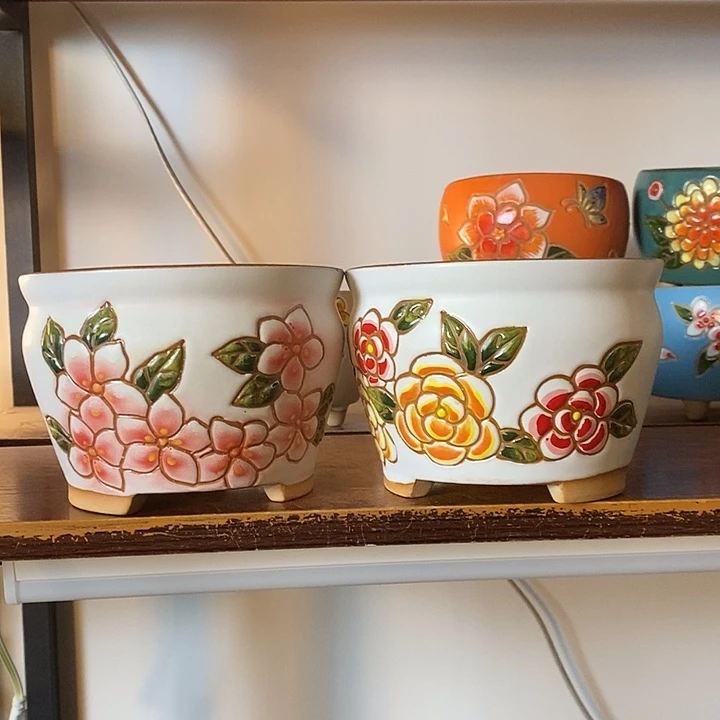 韩式多肉植物花盆