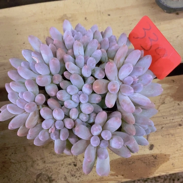 是吗这不还没有下班我