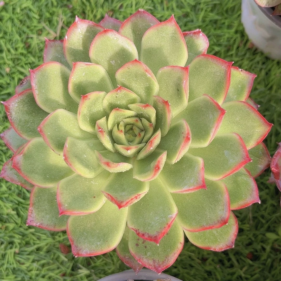 22号88988888888888888