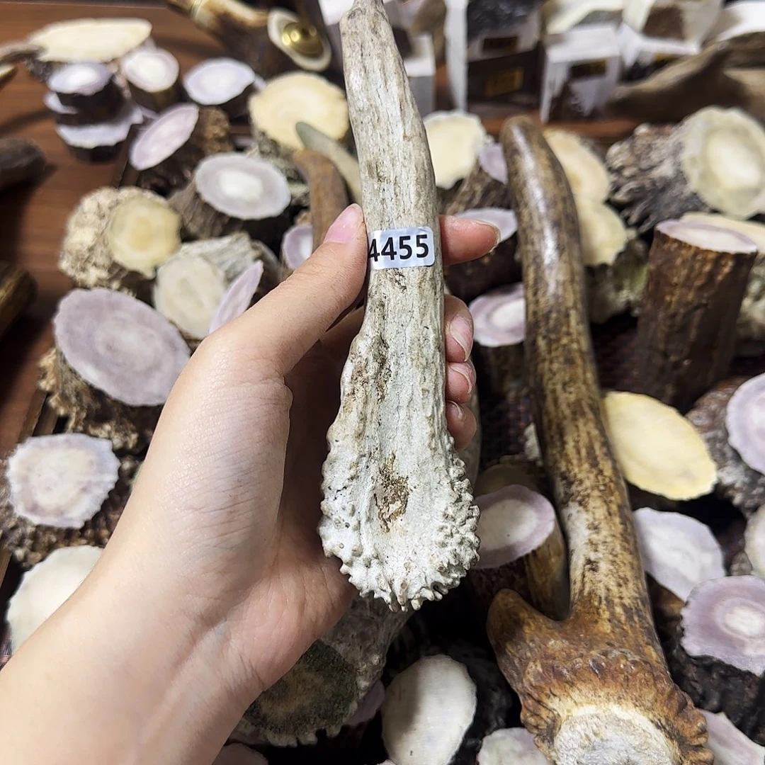 鹿骨手串/手链4455独角