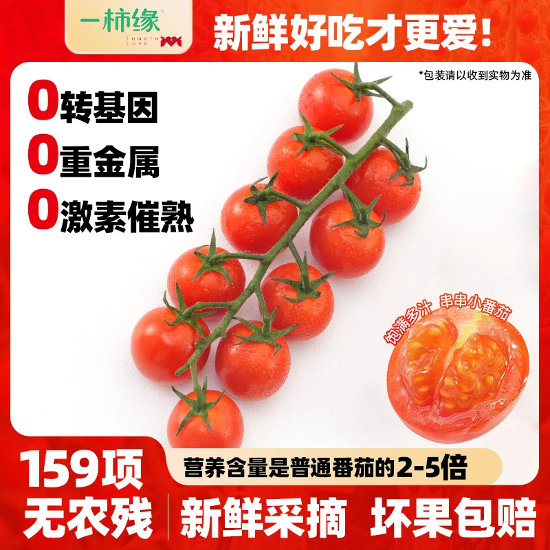 一柿缘两斤串收樱桃小番茄酸甜多汁一口爆浆自然成熟水果车厘串茄
