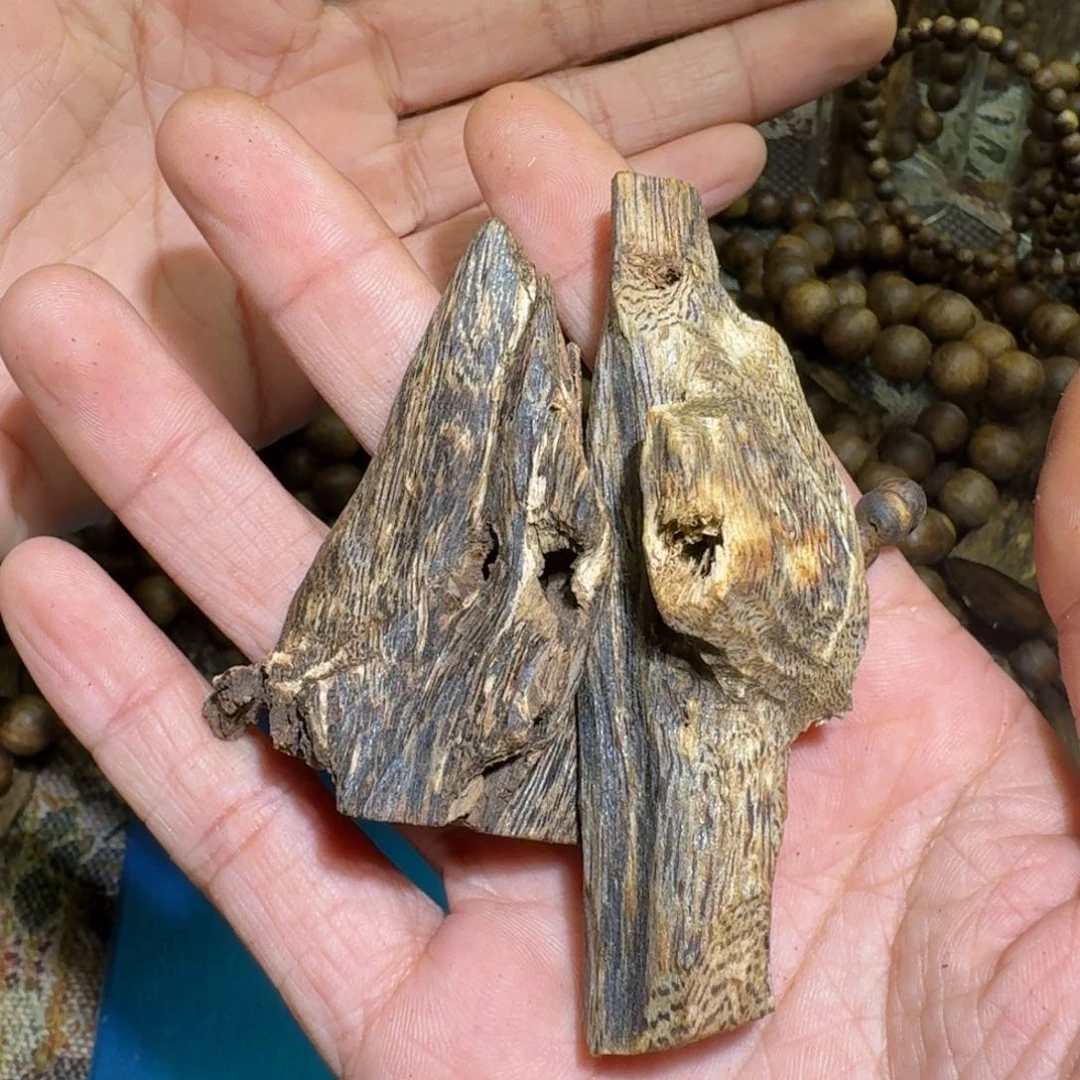 沉香沉香碎屑牛***、乌身虫漏21.4克