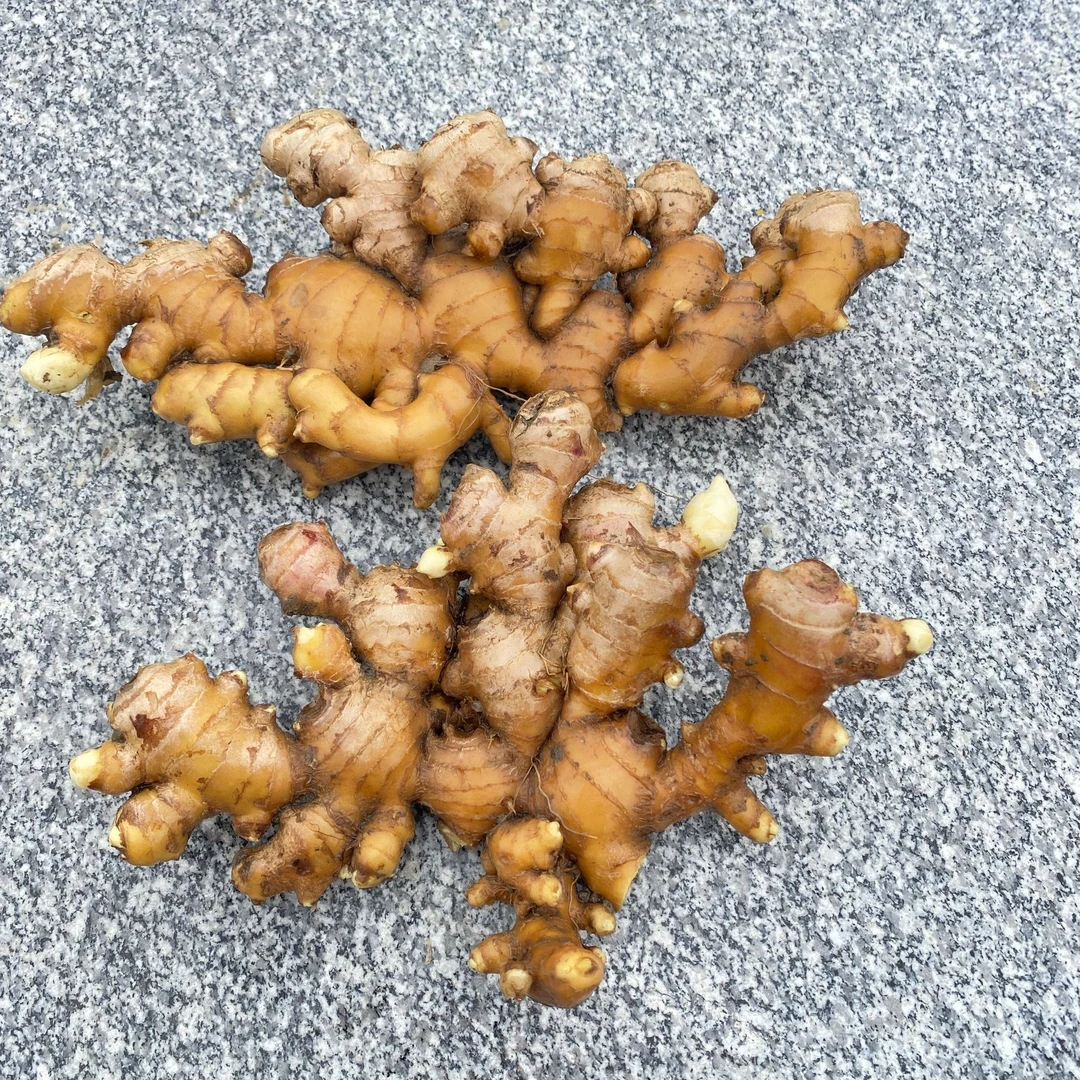 【农家生姜】农家自种生姜家姜自种家姜