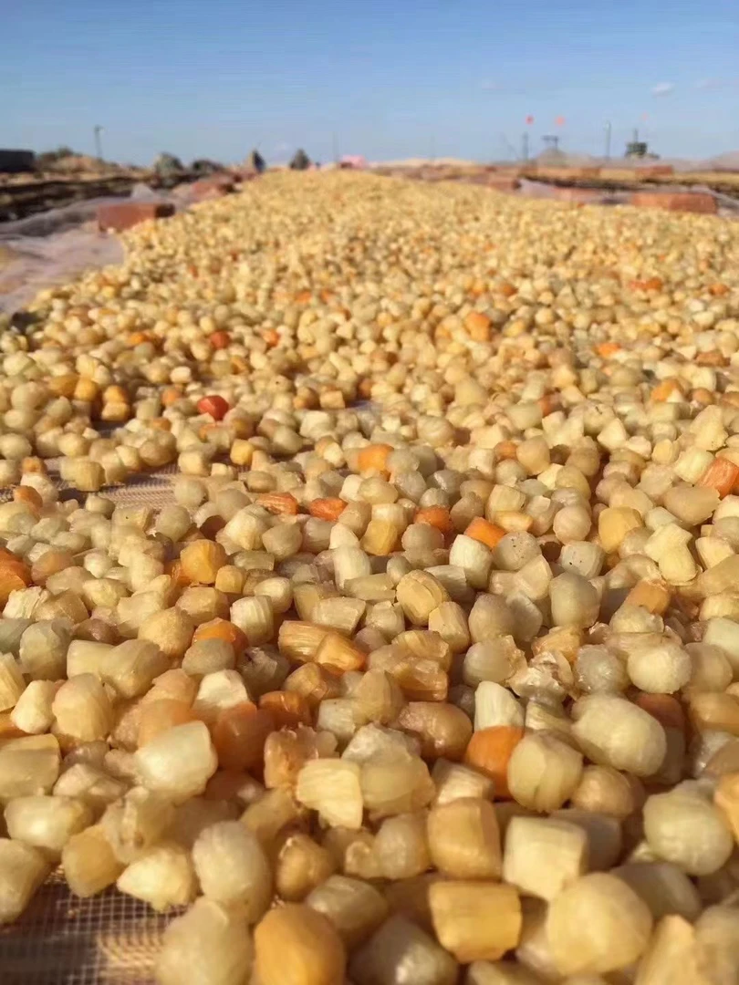 天然日晒淡干中干贝瑶柱鲜甜美味500g