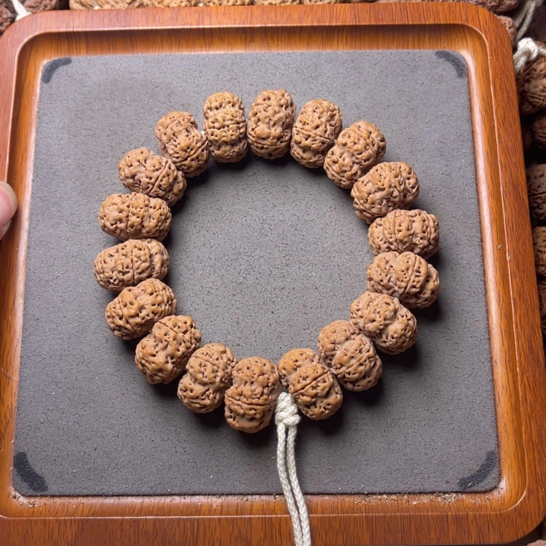 菩提籽类21号金刚菩提梅花夹板23