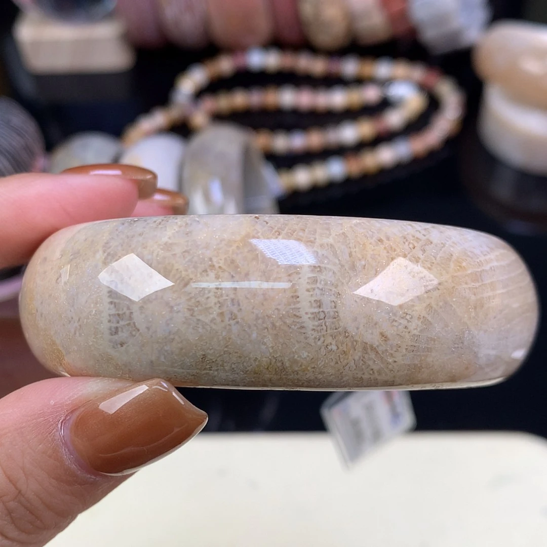 【闪购商品】颈饰未镶嵌硅化珊瑚（珊瑚玉）上新手镯58.8（24号）