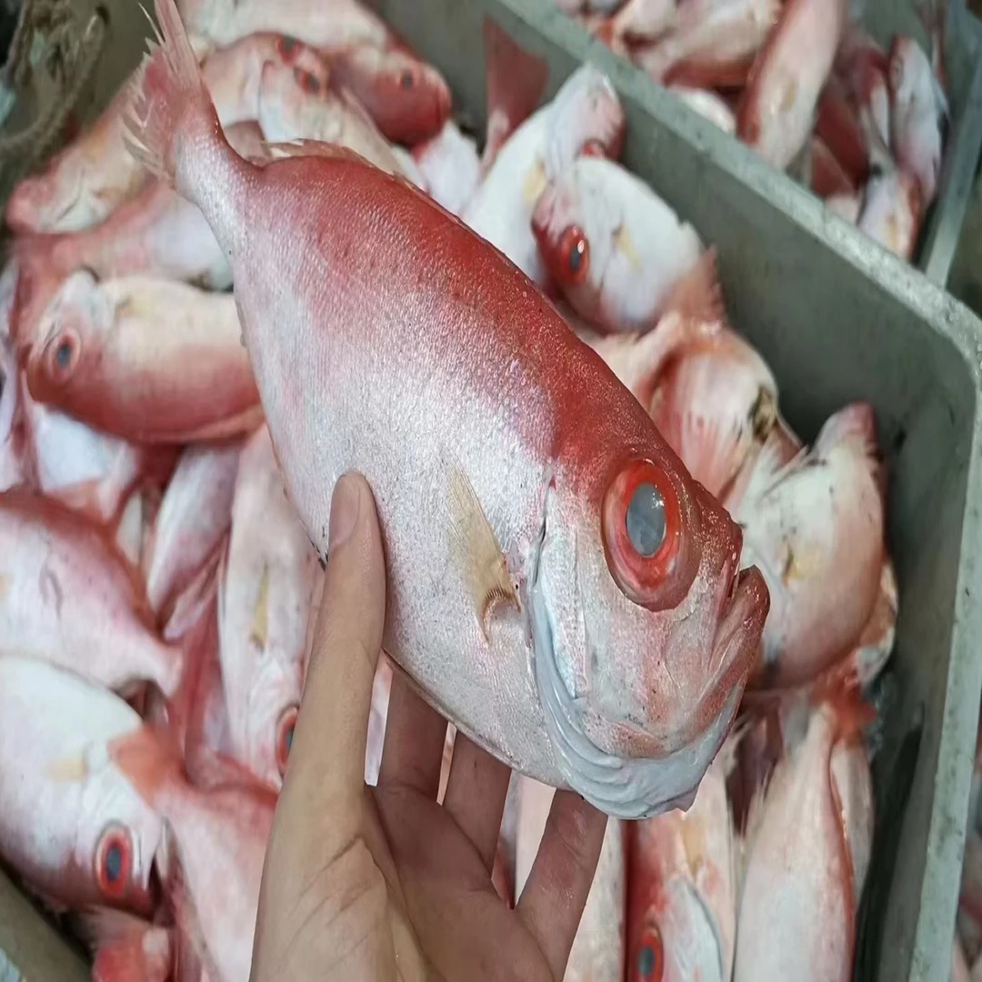 本港野生红目鲢大眼鸡鱼顺丰包邮