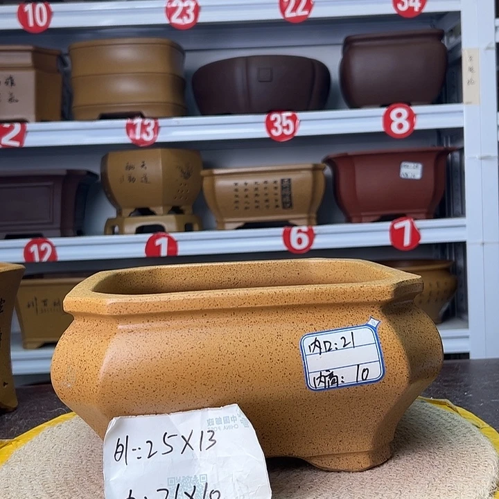 紫砂花盆蛇年大吉