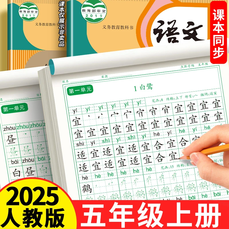 五年级上册练字帖语文同步2025人教版每日一练四升五5年级描红本