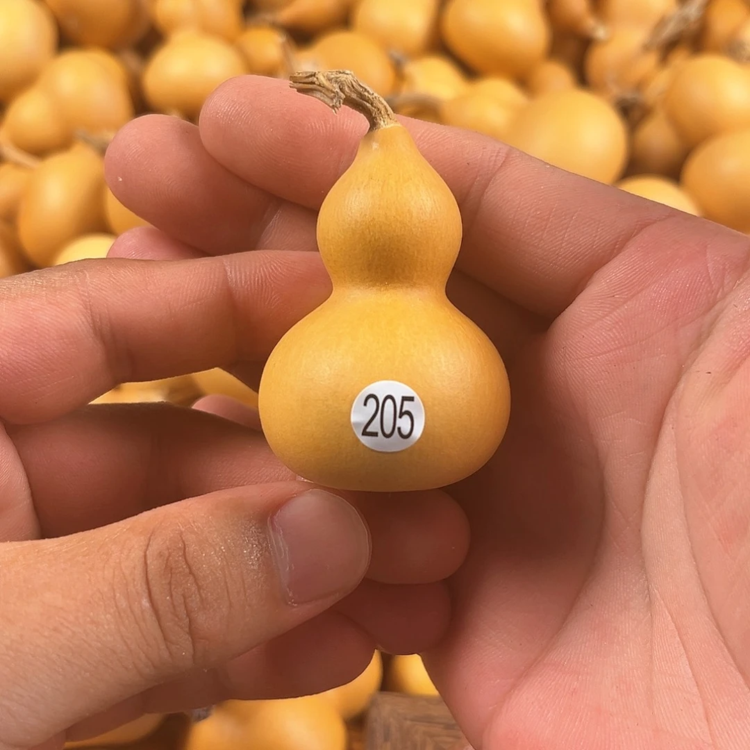 一葫芦葫芦葫芦葫芦葫芦205