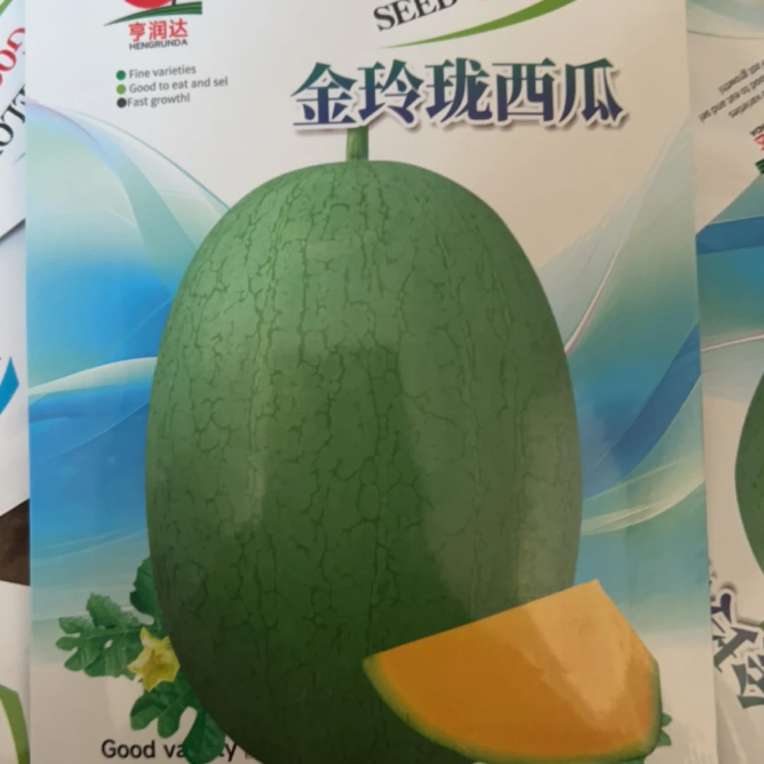 绿皮黄瓤小凤西瓜口感好，不易裂果（一袋200粒）