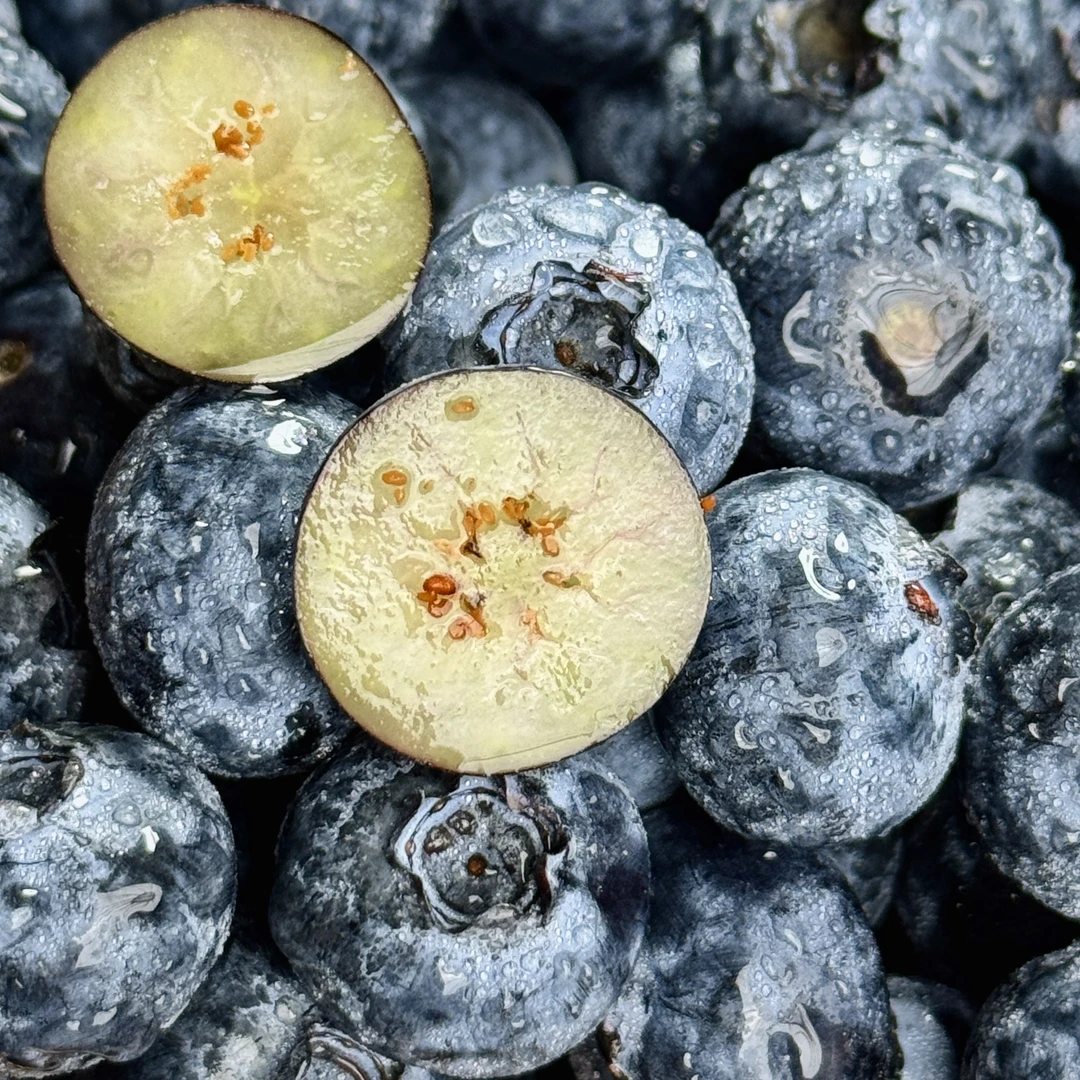 Z 当季限量 宝宝杯蓝莓BIueberry大果18+mm花香浓 顺丰包邮