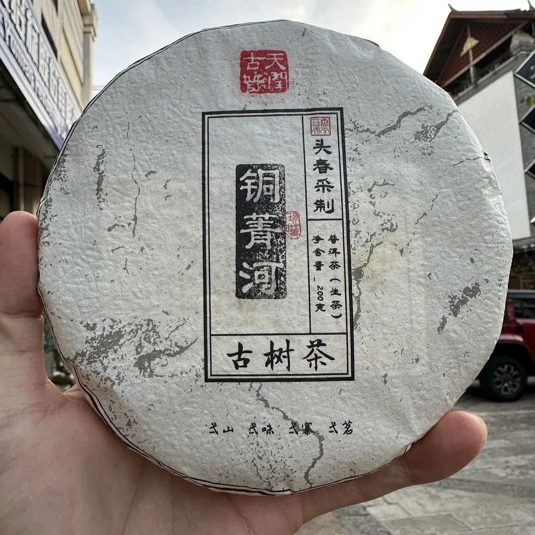 佳佳 2021年 易武铜箐河 古树头春 生茶