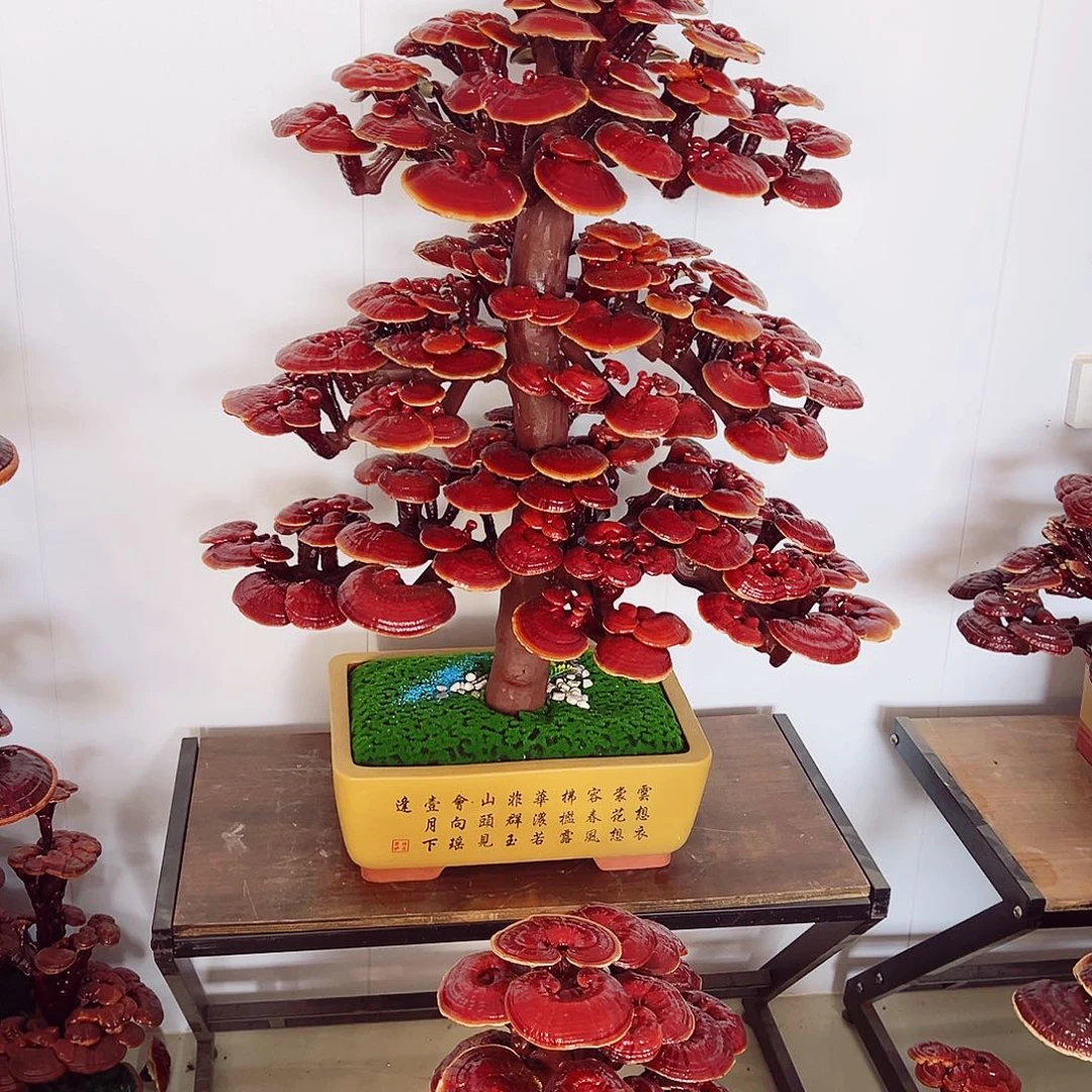 【闪购商品】无花朵