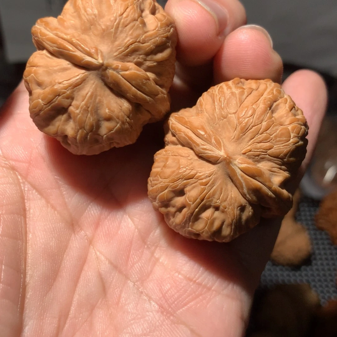 文玩核桃把件元宝开播福利