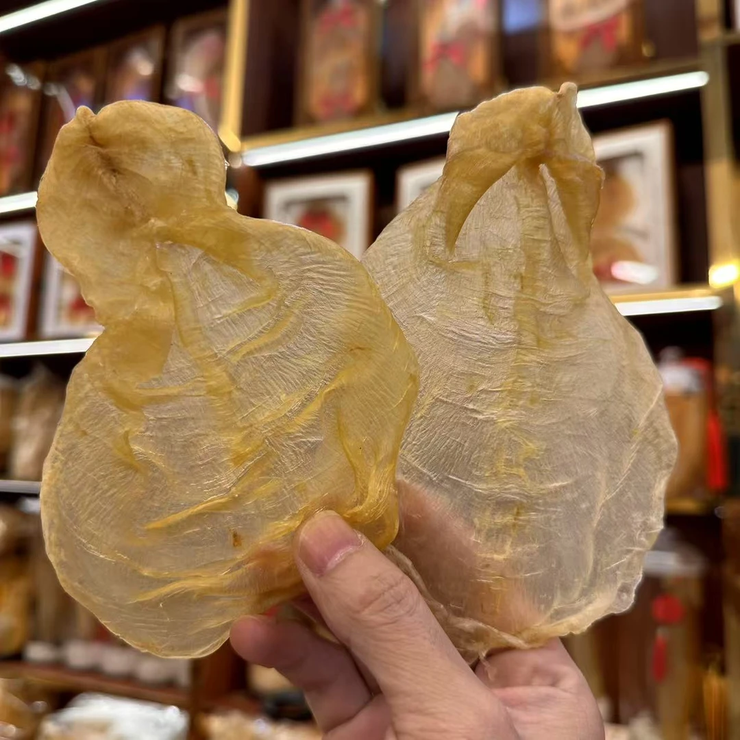 32头甲肚鱼胶 250克-500克-1000克