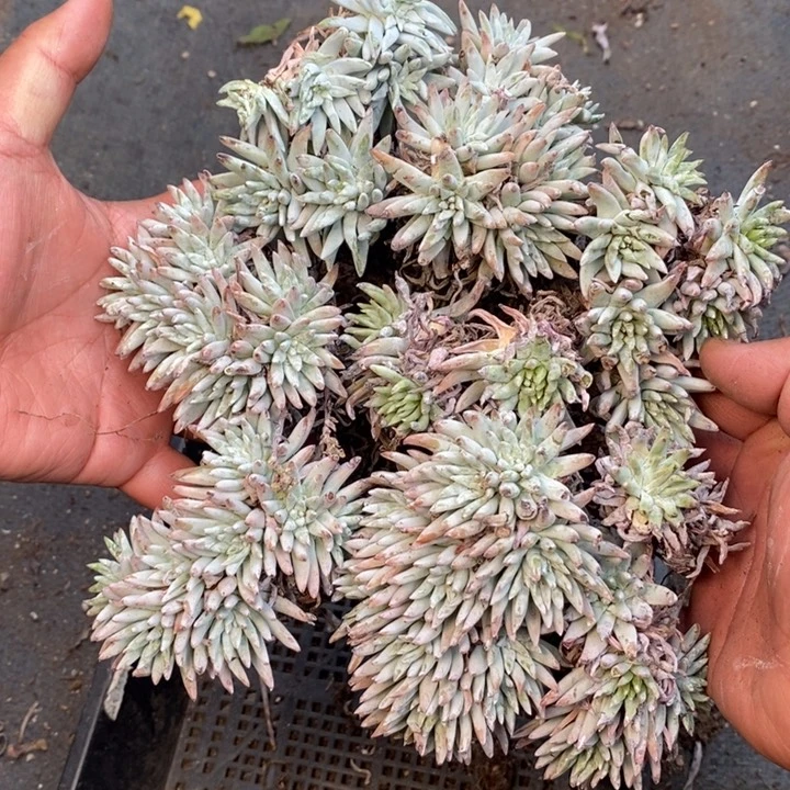 3914哈哈哈哈哈哈哈哈哈哈哈哈