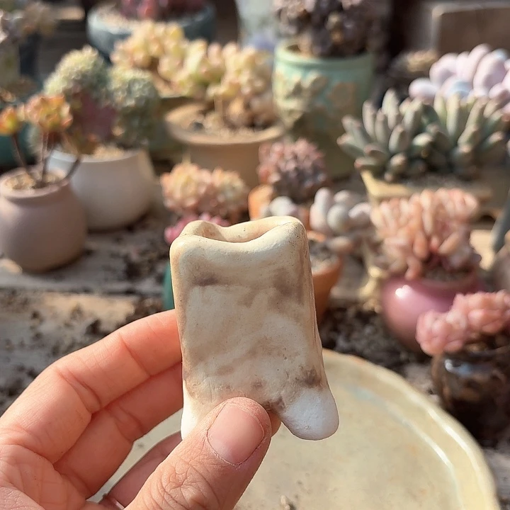 柒*c j x s h gs guu 368