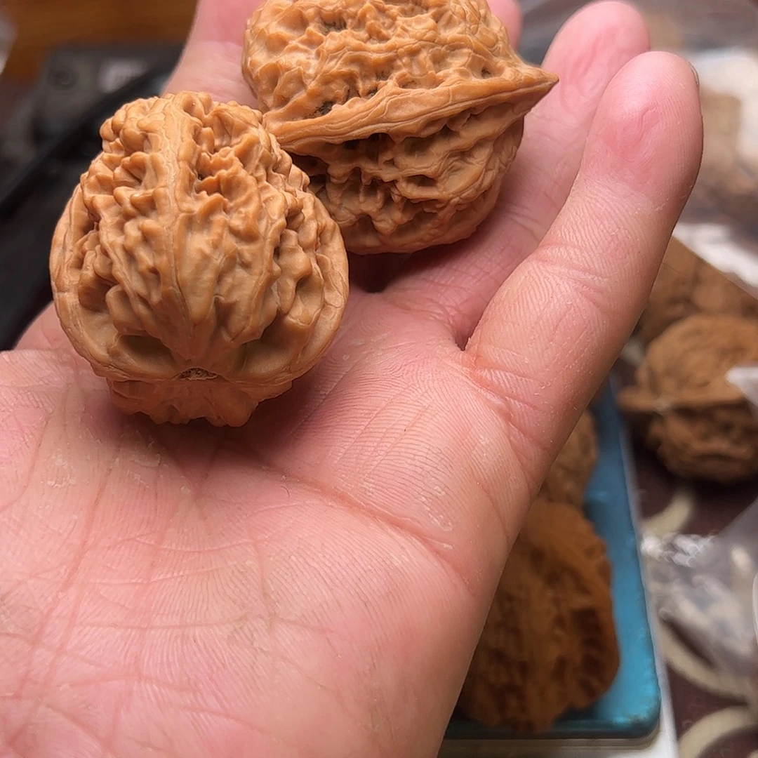 吃***森文玩核桃老树凤凰台