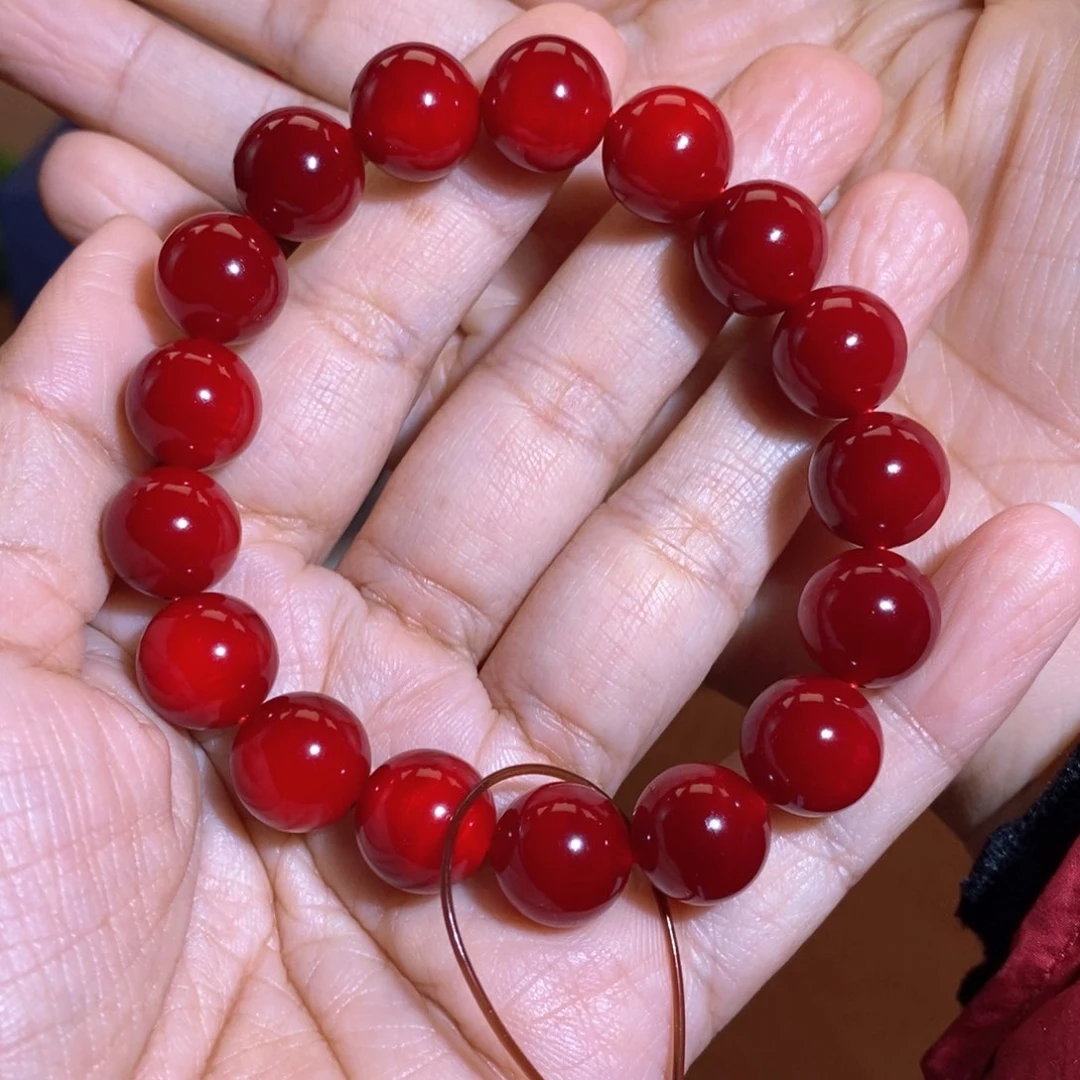 贝壳杉帝王血龙木1.2